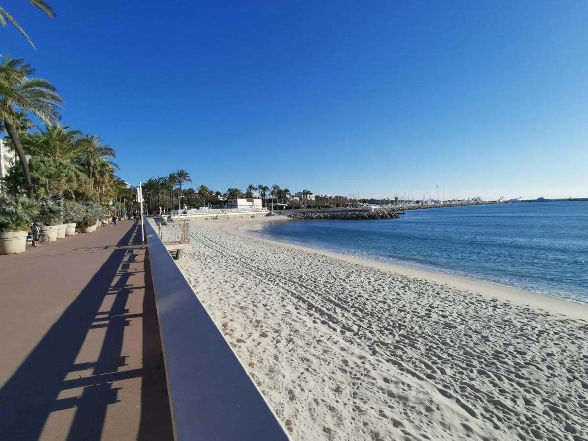 Le Chester Appartement 3 Pieces Cannes Proche Croisette Bord De Mer Dış mekan fotoğraf
